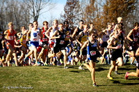 2010, MSHSL State Cross Country Championships